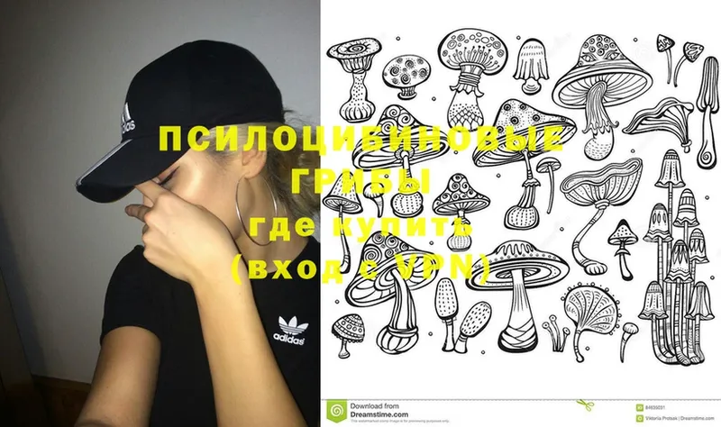 Галлюциногенные грибы Psilocybine cubensis  Баймак 